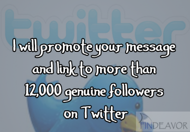 promote your link to my 12,000 followers on Twitter