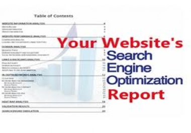  Make a killer SEO report on any web site you would like and then send it to you 