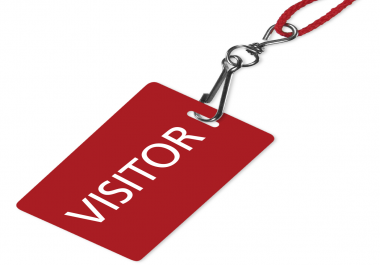 I Will Give You 999,000 Real/Human/Unique Visitors Safely.