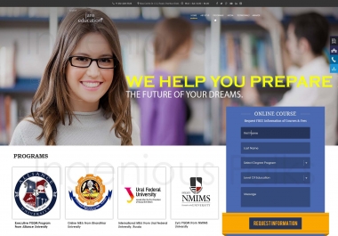 develop a professional & stellar wordpress website