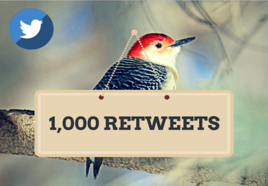 send 1000 High Quality Twitter Retweets