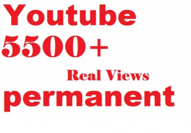 add Real youtube video views