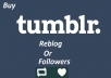 Get you 100 High Quality USA Based tumblr reblog or followers
