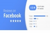 I will give you 100 Facebook 1 star rating on your page 1