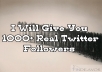 Give You 1000+ Real Twitter Followers