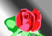 vector trace your picture