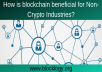 What all Courses are Offered by Blocklogy platform