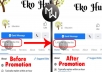 Get you Facebook Page Likes or Followers Real Permanent and Quickly