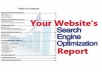  Make a killer SEO report on any web site you would like and then send it to you 