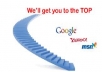 Offer you a new SEO package for one website url for once 