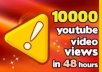  give you 10000 youtube video views  and an additional of 50 to 100 likes, 30 custom comments, 10 favorites and many subscribers