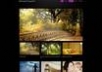 give you a 5 Blogger premuim template