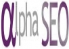 ROCKET YOU TO the highest with my awful penguin Friendly SEO Alpha Package