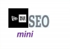provide a new era SEO mini the most effective Anti Panda service ever 