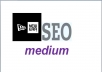  provide a new era SEO medium the most effective Anti Panda service ever 