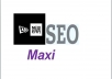 provide a new era SEO maxi the most effective Anti Panda service ever 