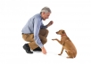 give You 400+ Dog Training Related PLR Articles for your website