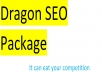 I will provide you dragon SEO Package 