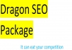 I will provide you dragon SEO Package