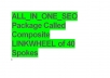 manually Setup ALL_IN_ONE_SEO Package referred to as Composite LINKWHEEL of 40 Spokes