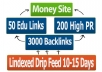 create Pyramid 250 PR1 to PR7 Tier one 3000 Tier 2 and drip feed LINDEXED 15 Days 