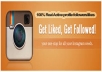 Get 5000 High Quality Instagram Followers/Likes within 24 Hours