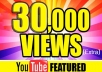 give you Great 30000 twitter followers safely