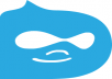 provide Drupal Website Services