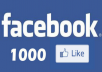 promote your facebook post 1000 Like in 12 hrs