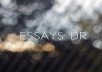 write any essay on management related task of 275 words