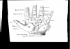 write palmistry articles